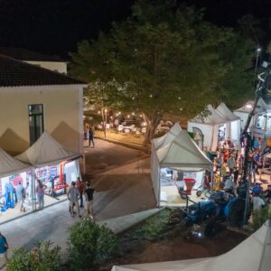 DJI_0491