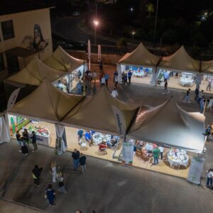 DJI_0513