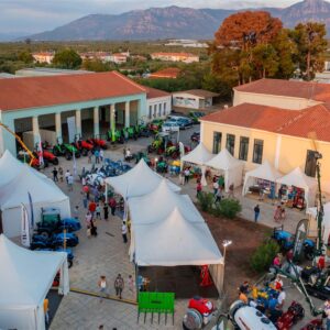 DJI_0561