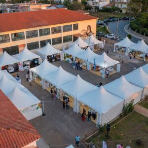 DJI_0567